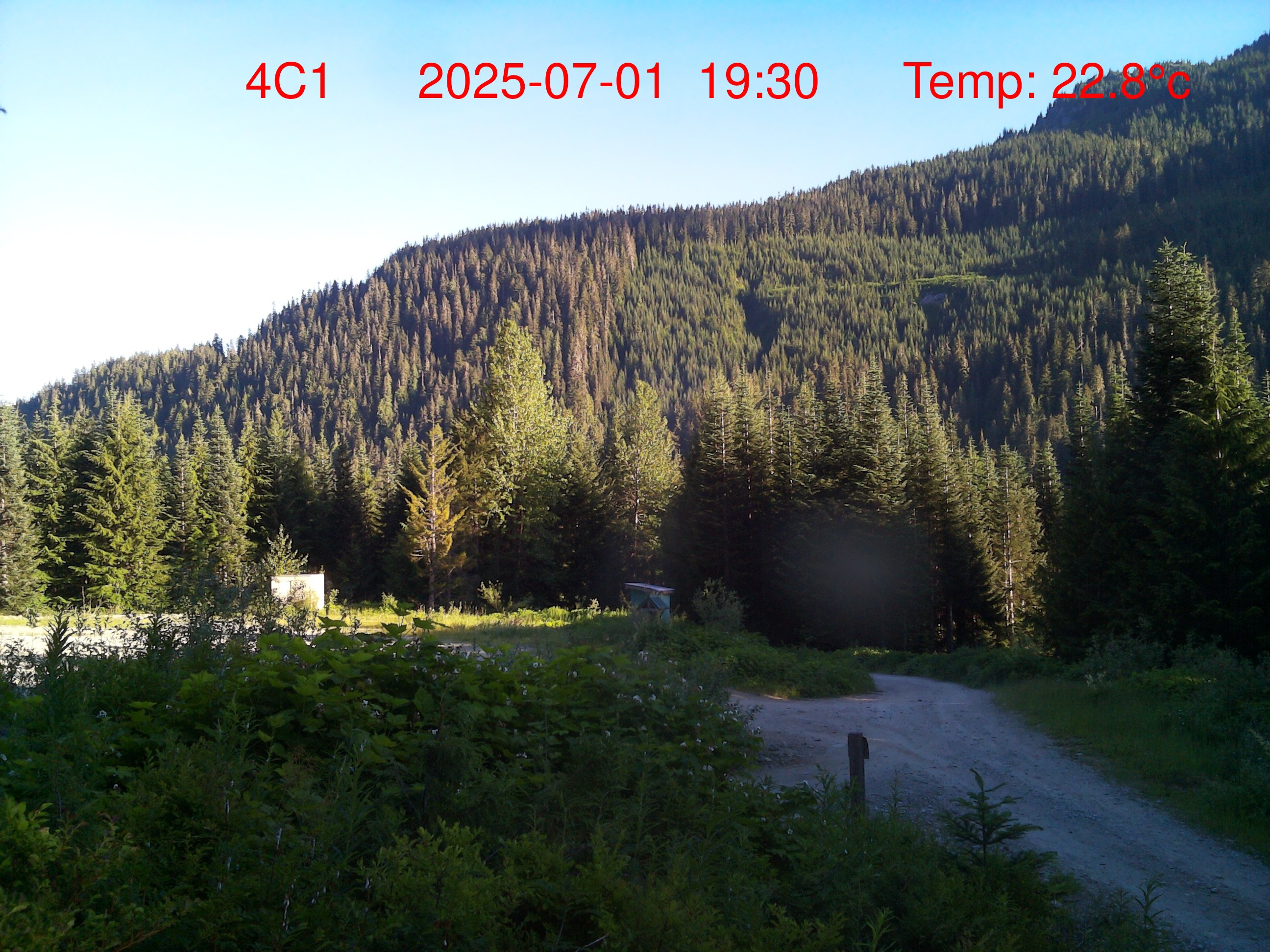 Sample Photo